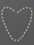 Silver daisy long necklace